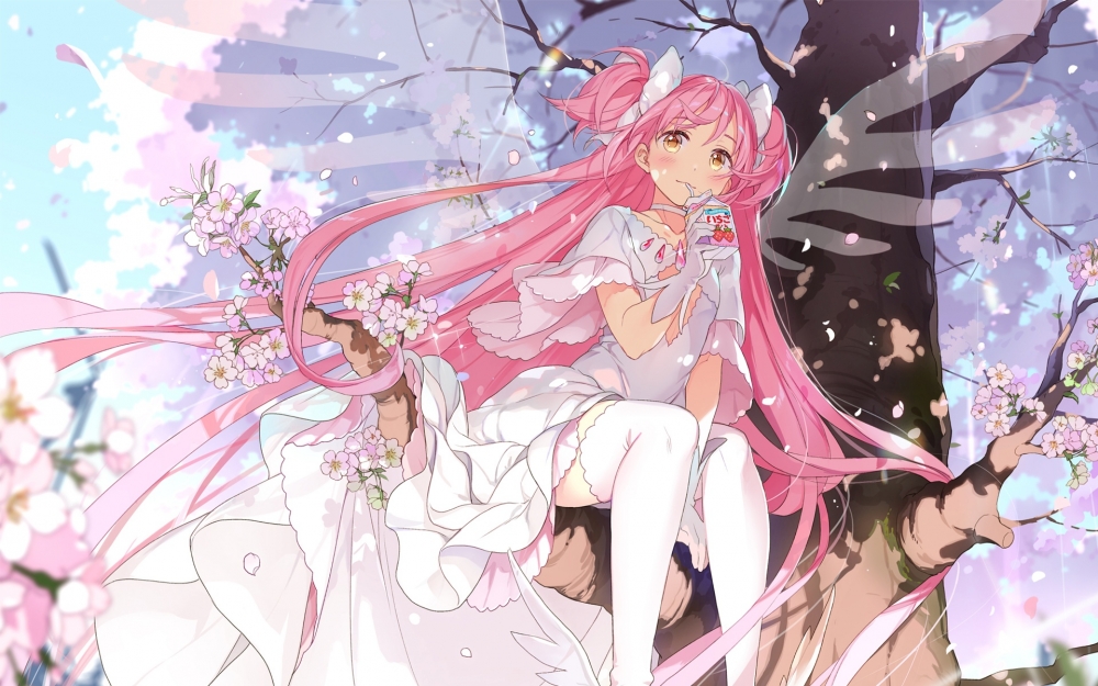 长着翅膀的动漫女孩图片欣赏 - 85814图库