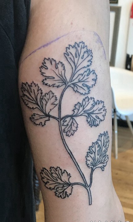 女生大腿上彩绘植物叶子和花朵玫瑰纹身图片