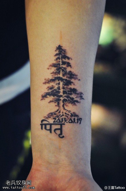 宏伟大气松柏纹身图案